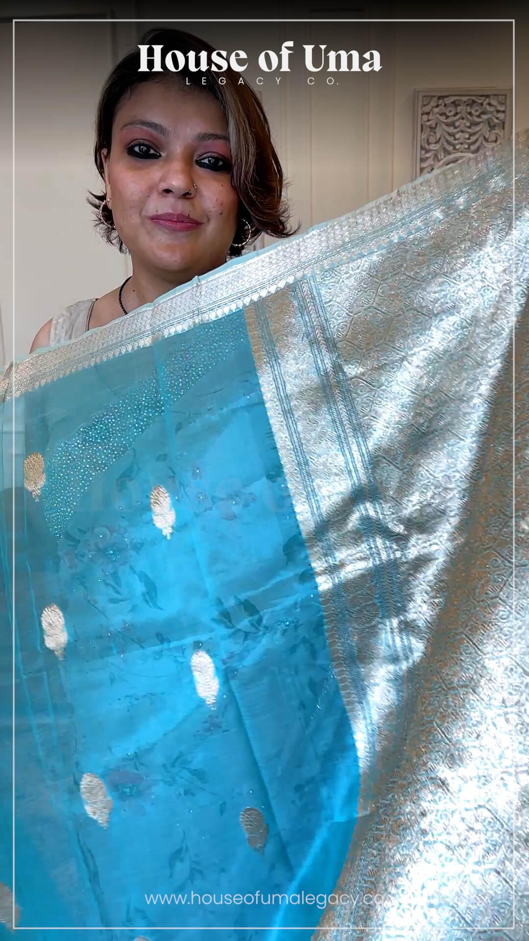 Handloom Kora banarasi saree in Sky Blue view 2 - Sky Blue kora saree